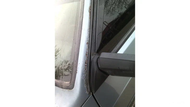 Lada (ВАЗ) 21099 2006 - 9