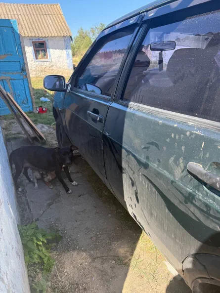 Lada (ВАЗ) 2109 1988 - 9