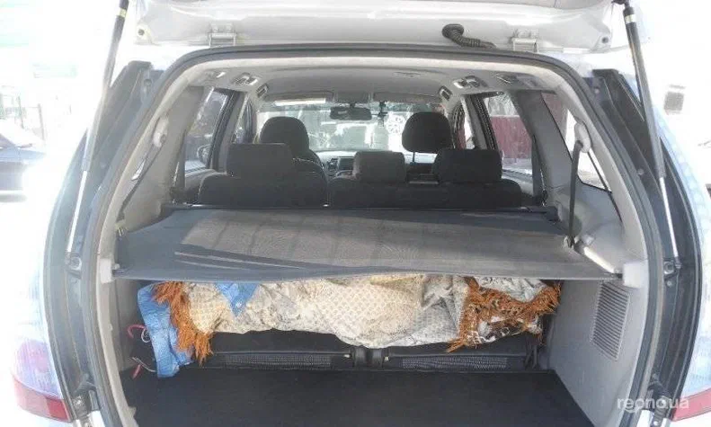 Mitsubishi Grandis 2007 - 19