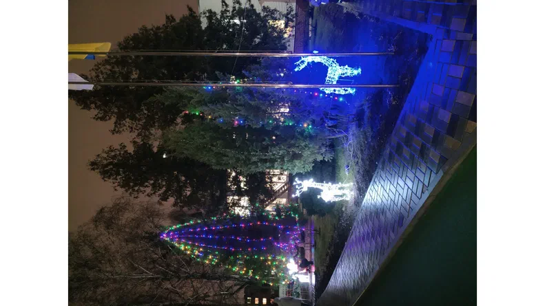 BMW 3 серія 1998 - 5